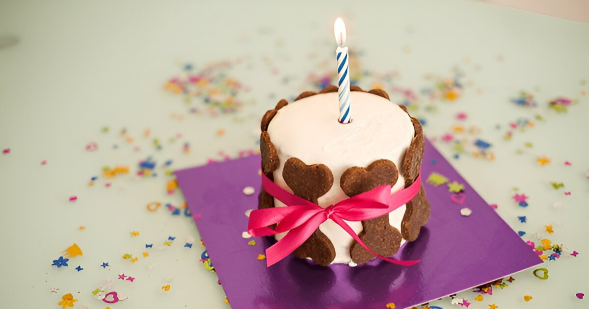 dog birthday cake